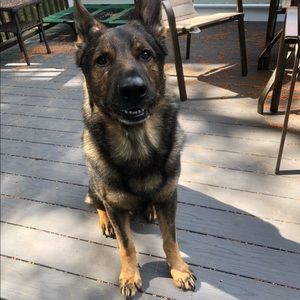 Meet your Posher, Ryan